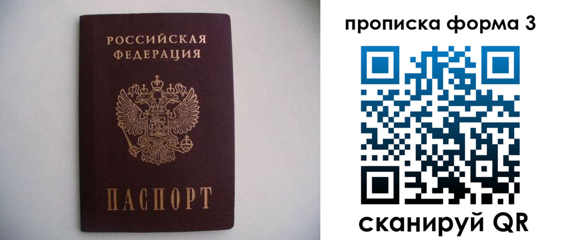 прописка в Лосино-Петровском